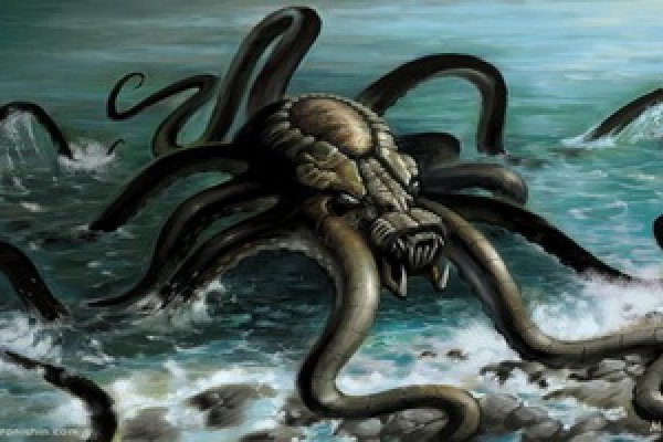 Kraken kraken link24 info